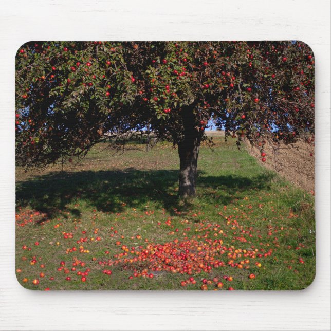Tapis De Souris Ancien arbre à pomme (Devant)