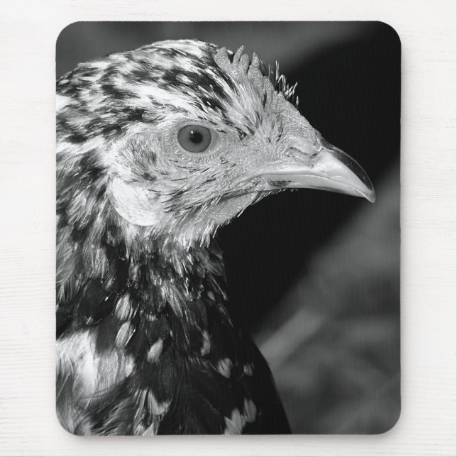 Tapis De Souris Ancona Hen (Devant)