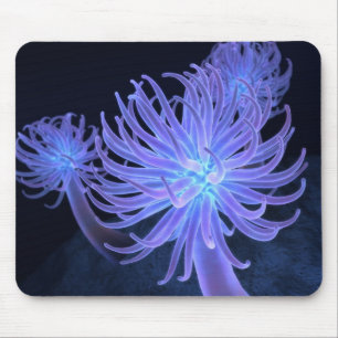 Tapis De Souris Anémones Mousepad