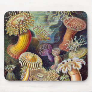 Tapis De Souris Anémones sous-marines vintages par Ernst Haeckel