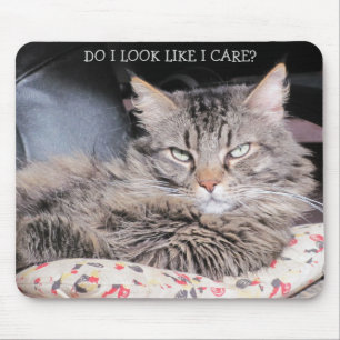 Tapis De Souris Ange Grincheux s'en fiche