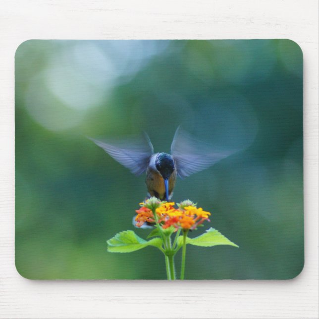 Tapis De Souris Angel Wings Humming (Devant)