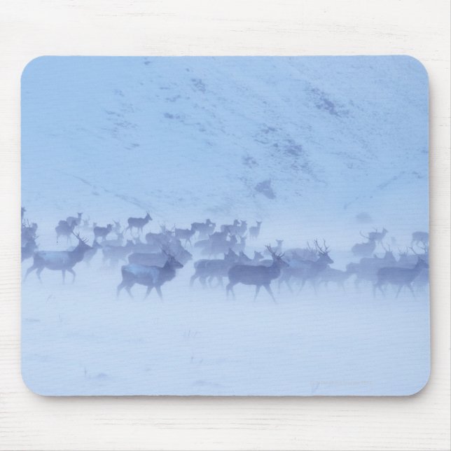 Tapis De Souris Angleterre (Devant)
