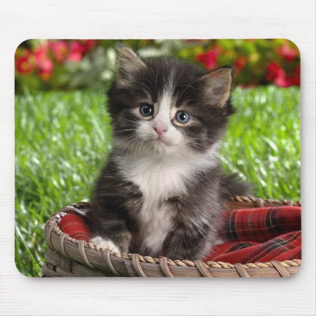 Tapis de souris animal 14 (Devant)