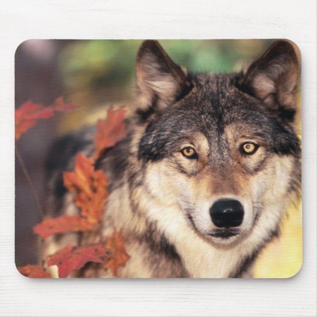 Tapis de souris animal 36 (Devant)