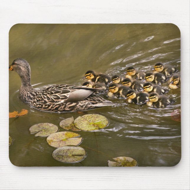 Tapis De Souris Animal - Canards - Nager comme un canard (Devant)