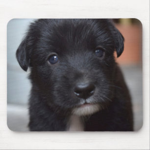 Tapis De Souris animal de chien de chiot mignon