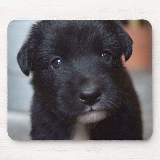 Tapis De Souris animal de chien de chiot mignon (Devant)