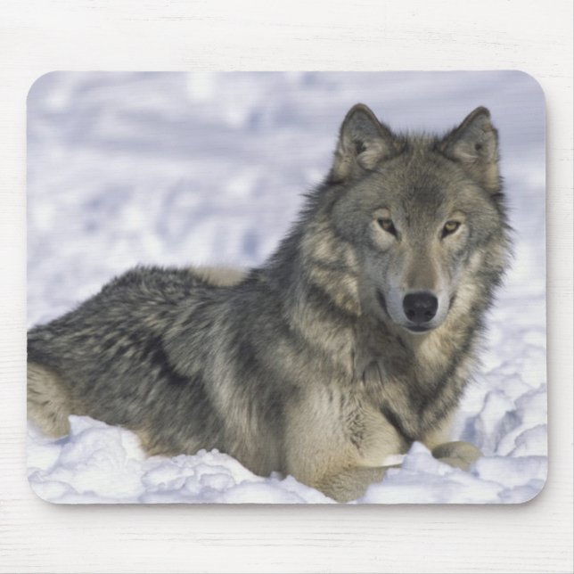 Tapis De Souris Animal En Neige (Devant)