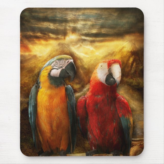 Tapis De Souris Animal - perroquet - Perroquet-dise (Devant)