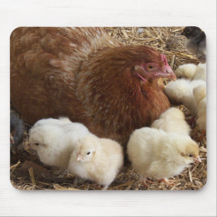 Tapis De Souris animal, poulet, ferme, mignonette, oiseau, bébé,
