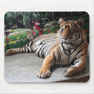 Tapis De Souris Animal sauvage de tigre personnalisé