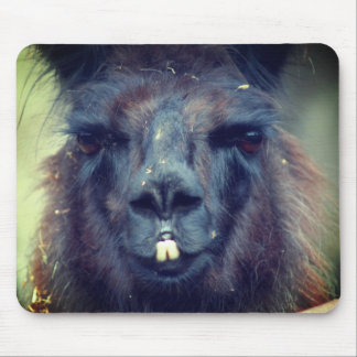 Tapis De Souris Animal Visage Llama Noire