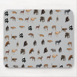 Tapis De Souris Animaux