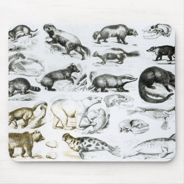 Tapis De Souris Animaux carnivores (Devant)
