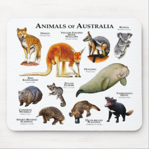 Tapis De Souris Animaux d'Australie