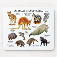 Animaux d'Australie