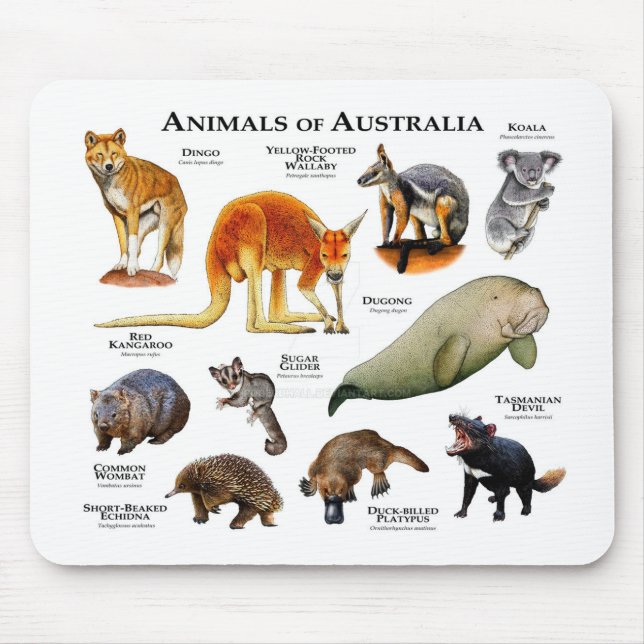 Tapis De Souris Animaux d'Australie (Devant)