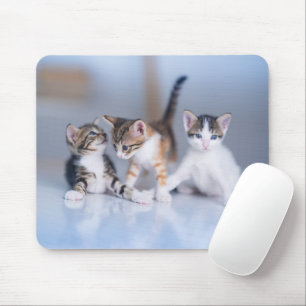 Tapis De Souris Animaux de bébés cutest 3 Tabby Kittens