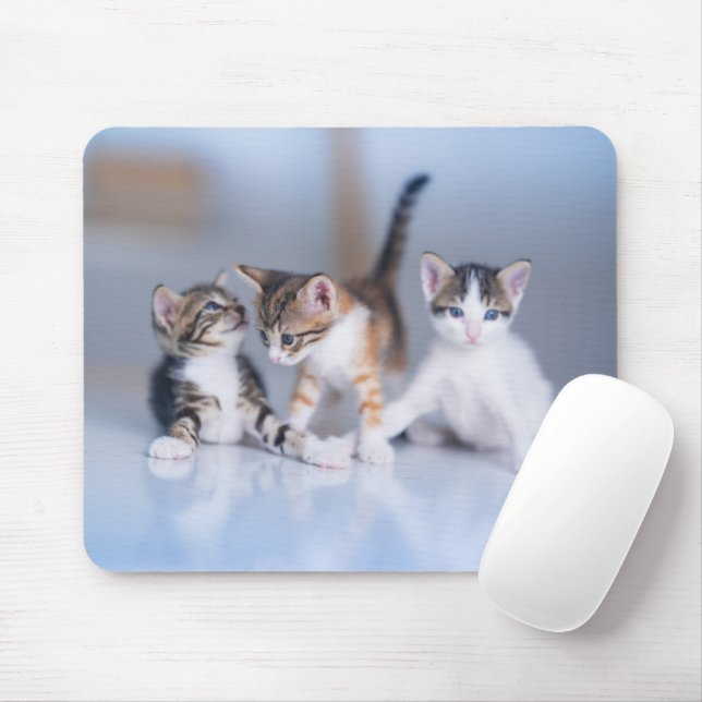 Tapis De Souris Animaux de bébés cutest | 3 Tabby Kittens (Avec souris)