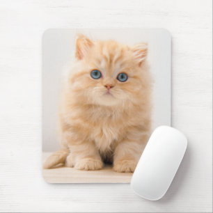 Tapis De Souris Animaux de bébés cutest A British Longhair Kitte