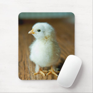 Tapis De Souris Animaux de bébés cutest   Baby Chick