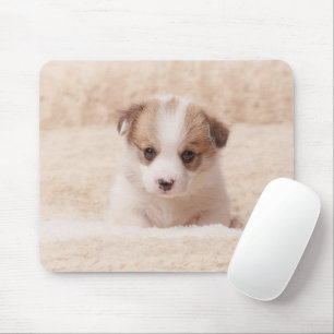Tapis De Souris Animaux de bébés cutest   Baby Corgi
