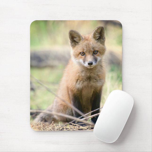 Tapis De Souris Animaux de bébés cutest | Baby Fox (Avec souris)
