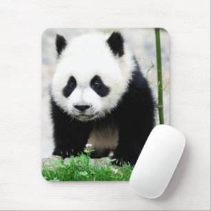 Tapis De Souris Animaux de bébés cutest   Baby Panda Bear