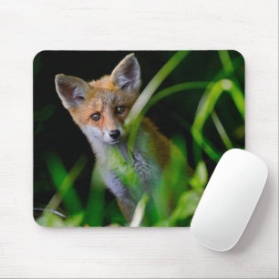 Tapis De Souris Animaux de bébés cutest   Baby Red Fox