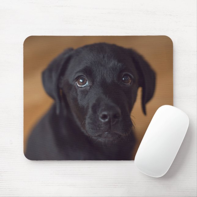 Tapis De Souris Animaux de bébés cutest | Black Labrador Puppy (Avec souris)