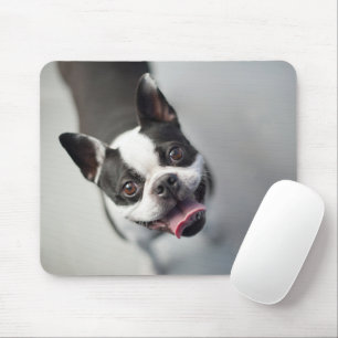 Tapis De Souris Animaux de bébés cutest   Boston Bulldog Smile