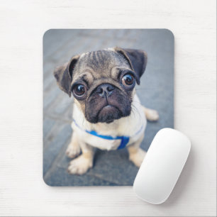 Tapis De Souris Animaux de bébés cutest   Carlin bébé