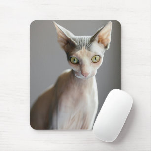 Tapis De Souris Animaux de bébés cutest   Chat Sphinx