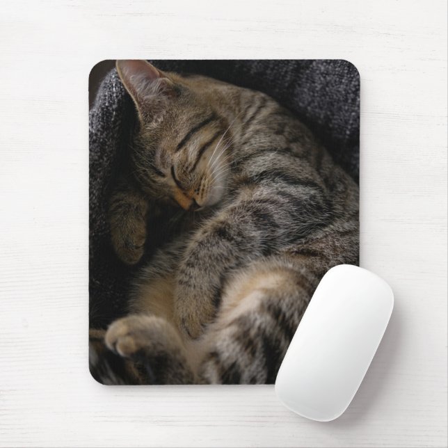 Tapis De Souris Animaux de bébés cutest | Chat Tabby Dormant (Avec souris)