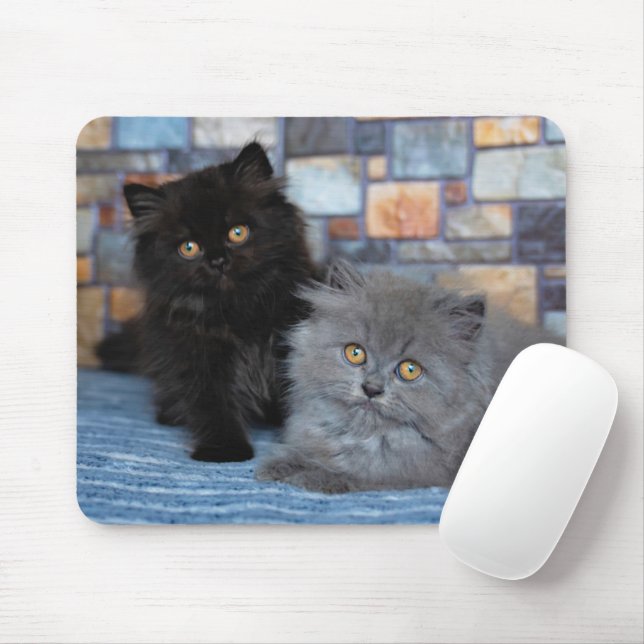 Tapis De Souris Animaux de bébés cutest | Chatons persans sur couv (Avec souris)