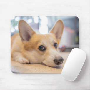 Tapis De Souris Animaux de bébés cutest   Chiot de Corgi au sol