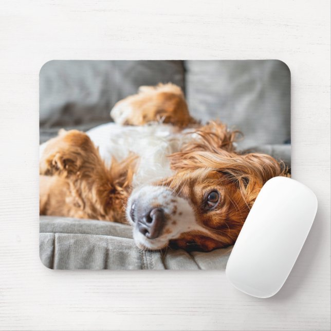 Tapis De Souris Animaux de bébés cutest | Cocker Spaniel (Avec souris)