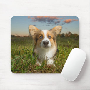 Tapis De Souris Animaux de bébés cutest   Corgi dans le nuage