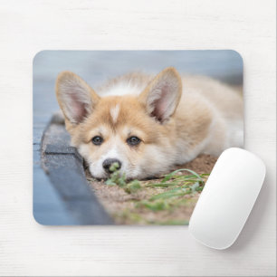 Tapis De Souris Animaux de bébés cutest   Corgi Laying in the Yard