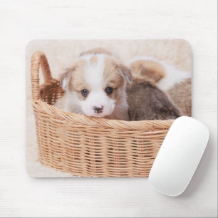 Tapis De Souris Animaux de bébés cutest Corgi Miny Puppy