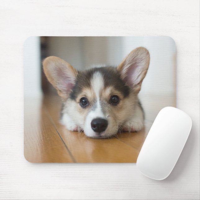 Tapis De Souris Animaux de bébés cutest | Corgi Puppy (Avec souris)