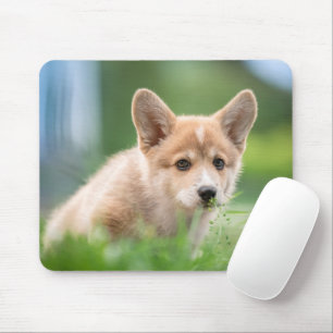 Tapis De Souris Animaux de bébés cutest   Corgi Puppy dans le tria