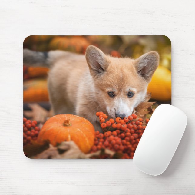 Tapis De Souris Animaux de bébés cutest | Corgi Puppy en automne (Avec souris)