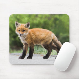 Tapis De Souris Animaux de bébés cutest   Cutey Fox