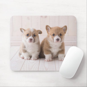 Tapis De Souris Animaux de bébés cutest   Deux Bébés Corgis assis