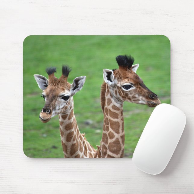 Tapis De Souris Animaux de bébés cutest | Deux Giraffes pour bébés (Avec souris)