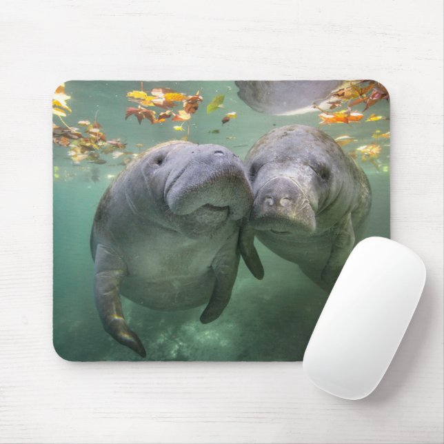 Tapis De Souris Animaux de bébés cutest | Deux Manatees (Avec souris)