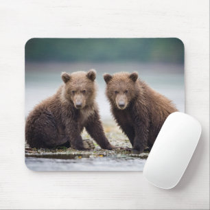Tapis De Souris Animaux de bébés cutest   Deux petits ours d'ours