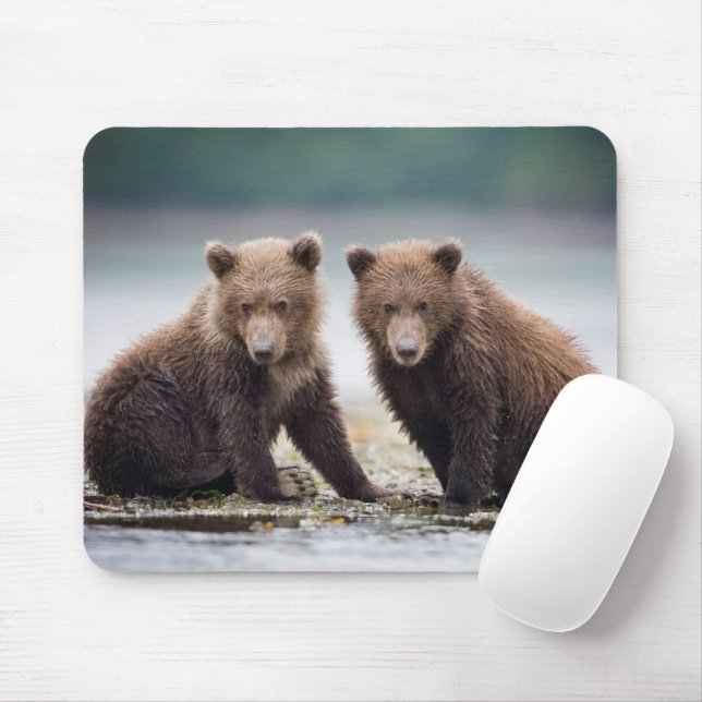 Tapis De Souris Animaux de bébés cutest | Deux petits ours d'ours (Avec souris)